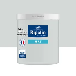 Testeur peinture gris souris mat Intérieur RIPOLIN 75 ml