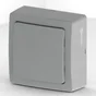 Interrupteur Va-Et-Vient Saillie Complet, Lexman Opus, Gris Aluminium