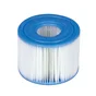 Lot de 2 cartouches de filtration INTEX S1 pour Pure spa