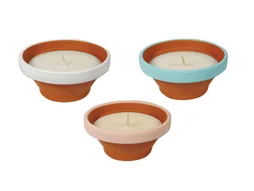 Pot terre cuite bord coloré, insecticide Jasmin, 50 x 120 mm