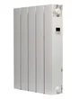 Radiateur électrique à inertie sèche Caraïbes, UNIV'R CHAUFFAGE, 1000 W vertical gris