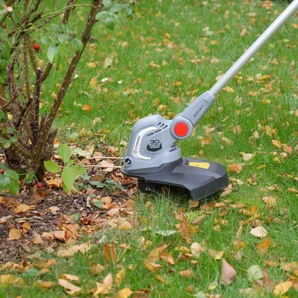 Coupe-bordures électrique Sterwins Egt2-28.31, 550 W, L. 28 cm