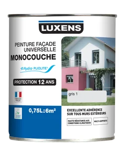 Peinture Facade Hydro Pliolite Gris 1 Luxens 12 Ans 0,75L