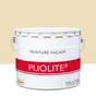 Peinture Façade Pliolite, Pierre, 10 L