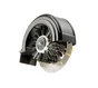 Brosse GLORIA Multibrush dresse-bordure