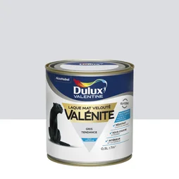 Peinture laque boiserie Valénite DULUX VALENTINE gris tendance mat 0.5 l