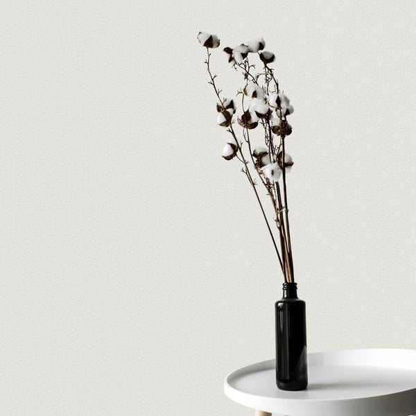 Papier Peint Vinyle Lisse Mat Blanc Paper