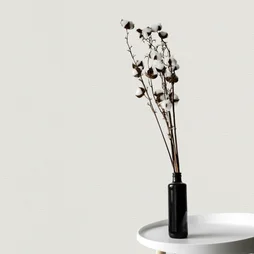 Papier Peint Vinyle Lisse Mat Blanc Paper