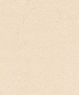 Papier Peint Vinyle Béton Métal Blanc Calcaire