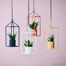 Succulente En Suspension Massif Bas, H.40 Cm, Diam.7 Cm