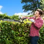 Taille-Haie Hybride Ryobi One+ Rht1850H25Hs, 18 V L.50 Cm