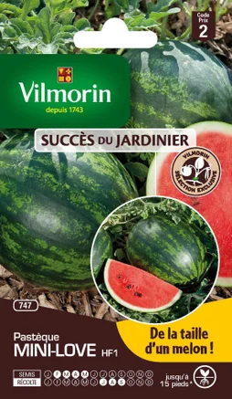 Pastèque semences potageres VILMORIN 0.8 g
