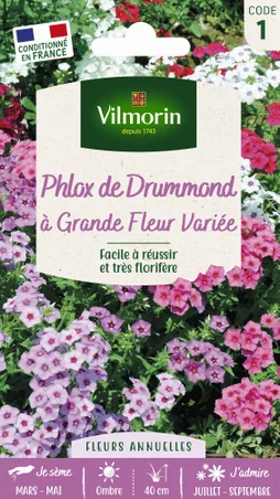 Graines florales phlox de drummond à grandes fleurs variés 1 g