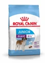 Royal Canin Alimentation Chien Jun Giant 3,5Kg