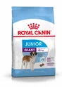 Royal Canin Alimentation Chien Jun Giant 3,5Kg