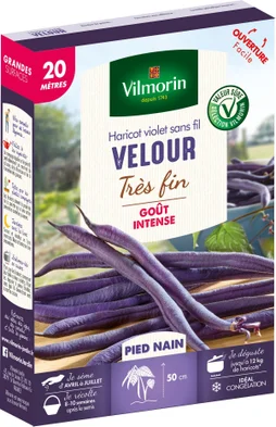 Graine potagère haricot velour, VILMORIN, 103 g