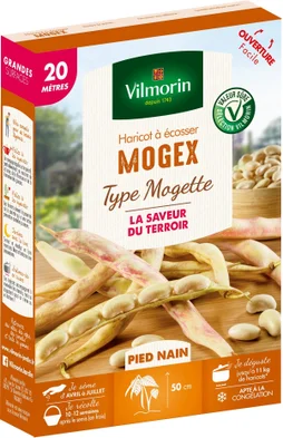 Graine haricot mogex VILMORIN 159 g