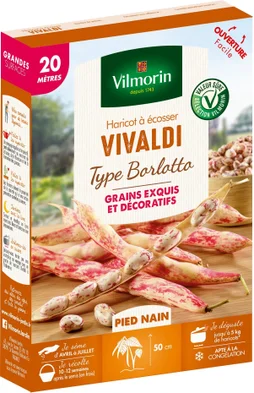 Graine haricot vivaldi VILMORIN 212 g