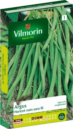 Haricot haricot argus VILMORIN 110 g