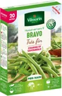 Graine haricot bravo VILMORIN 143 g