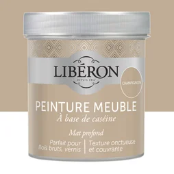 Peinture Meuble Et Boiserie Caséine Liberon Champignon Mat 0.5 L