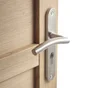 1 Poignée De Porte Margaud Trou De Cylindre Inspire, Acier Entraxe 195 Mm