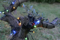 Guirlande exterieur solaire 200 led 1,2v multicolore anime 2 fonctions fixe/flash cable vert 20m