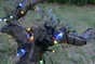 Guirlande exterieur solaire 200 led 1,2v multicolore anime 2 fonctions fixe/flash cable vert 20m