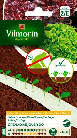 Rubans de graines grenadine, querido VILMORIN 0.4 g