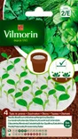 Tapis 4 aromatiques 4x10cm vert, calypso, plat géant d'italie VILMORIN 5 g
