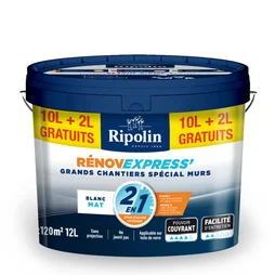 Peinture mur / plafond Ripolin renov express blanc mat, 12L