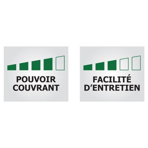 Peinture mur, plafond et boiserie Ripolin renov express blanc satiné, 12L