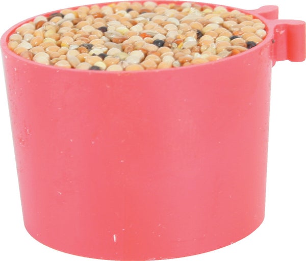 Friandise exotiques godet miel boite x2
