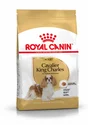 Royal Canin Alimentation Chien Cavkingchar Adlt 3Kg