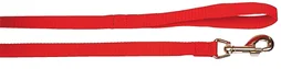 Laisse chien nylon 1m 10mm rouge
