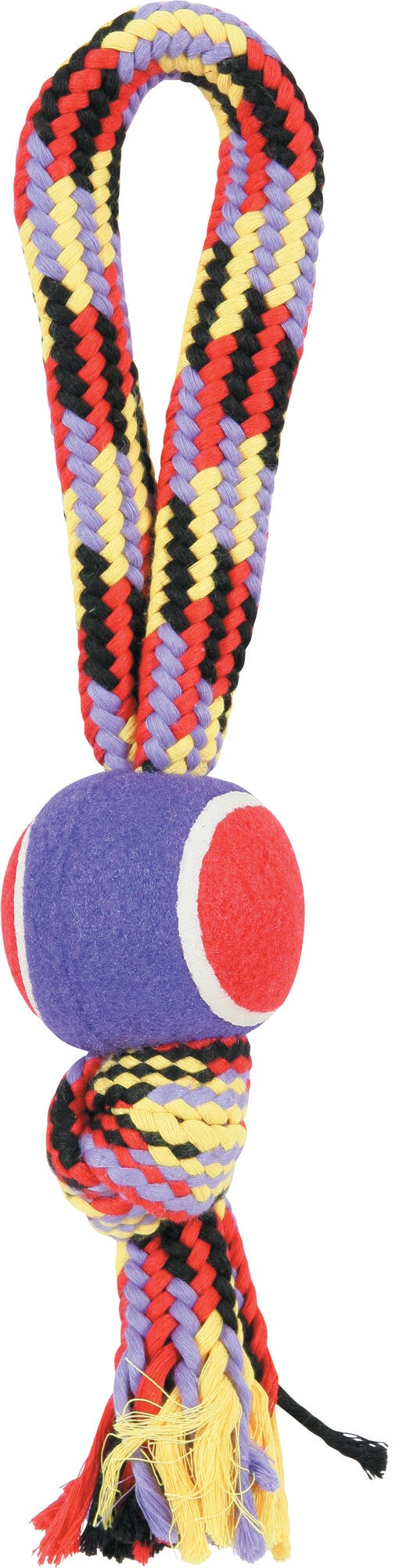 Jouet chien cord tennis poignee 40c