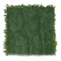 Mur Végétal Liserons, H.1 X L.1 M