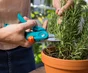 Sécateur à herbes et à fleurs GARDENA 8707-20