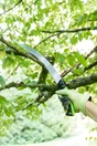 Scie arboricole GEOLIA, lame 350 Mm