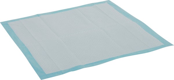 Tapis Educ Chiot 60X60Cm X30
