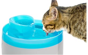 Fontaine A Eau 2L
