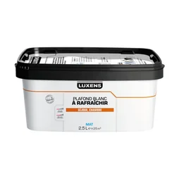 Peinture Plafond Luxens Blanc Mat, 2.5 L