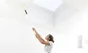 Peinture plafond LUXENS Sans trace blanc mat, 3 l