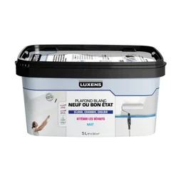 Peinture Plafond Luxens Sans Trace Blanc Mat, 5 L