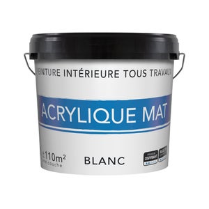 Peinture intérieure mur et plafond tous travaux, 12 L blanc mat