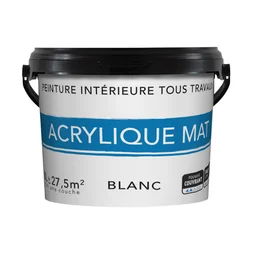 Peinture intérieure mur et plafond tous travaux, 3 L blanc mat