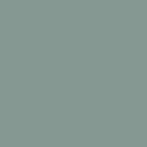 Testeur peinture dépolluante vert rivage velours ENVIE 75 ml