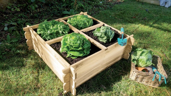 Carré Potager En Bois, Pin, Basil, 1.28 M², 1000X1000X270 Mm