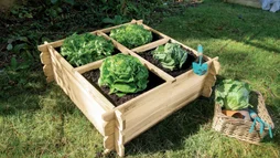 Carré Potager En Bois, Pin, Basil, 1.28 M², 1000X1000X270 Mm