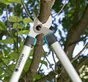 Coupe-branche à deux mains acier revêtu antiadhérent GARDENA Easycut 680b 42 mm